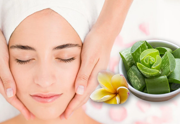 Can Aloe Vera Replace Your Moisturizer or Toner?