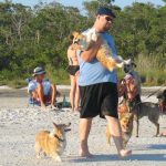 Corgi funding rounds