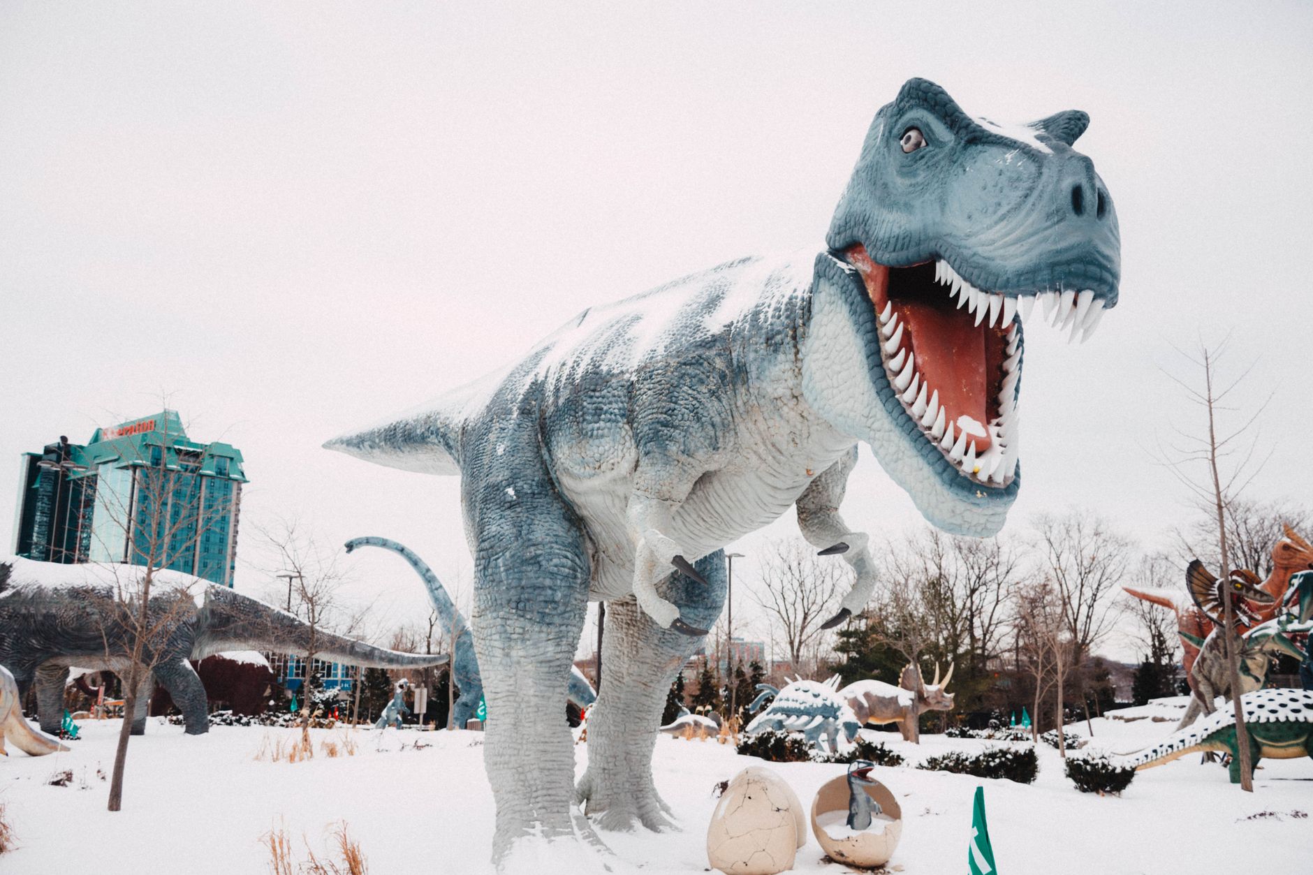 T rex footprints: First known tracks discovered in North Dakota