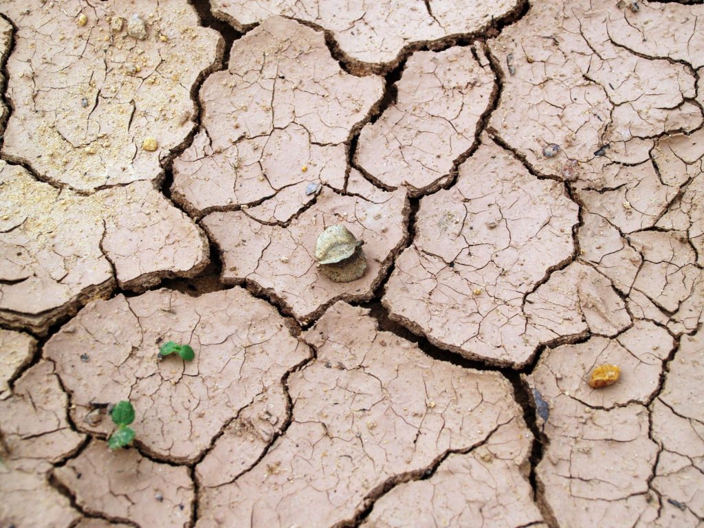 Climate Change Impacts: Worst Signs of Earth’s Limits Revealed