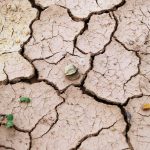 climate change impacts