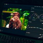 Lightroom alternative