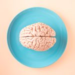 mini human brains in space