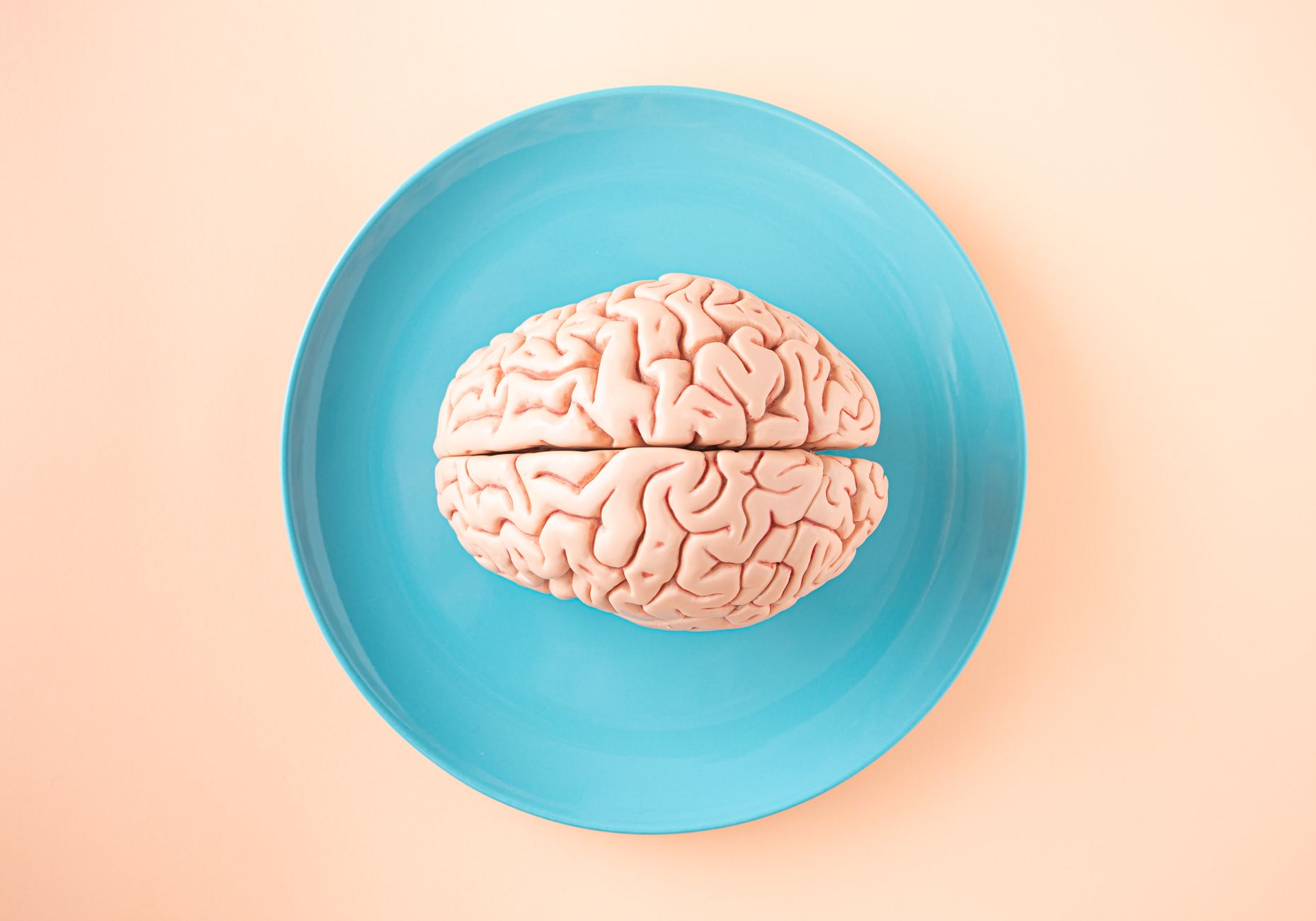 Mini Human Brains in Space: Proven NASA Experiment Insights